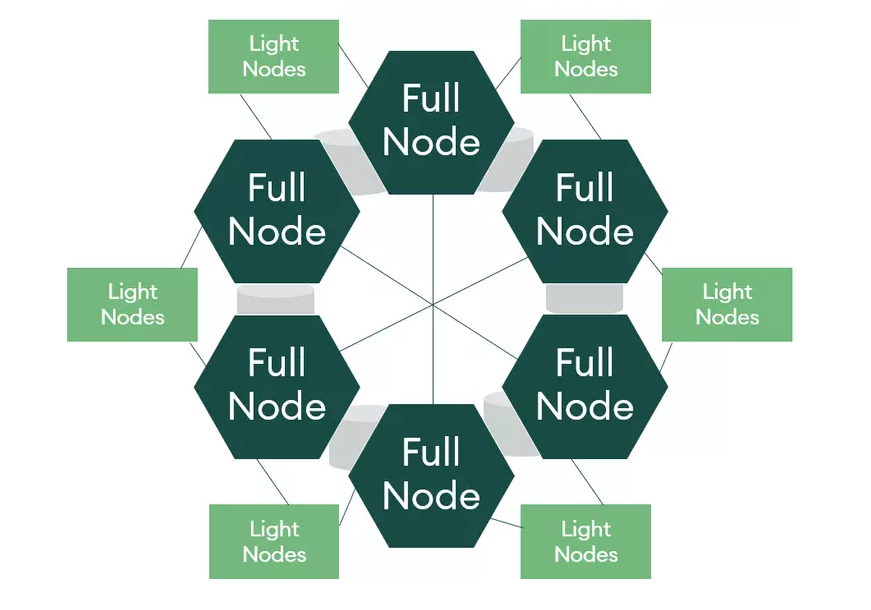 Full Node & Light Node (Lightweight Node)